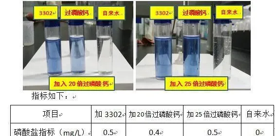 水体补磷就选海联科3302：3302和过磷酸钙对比试验