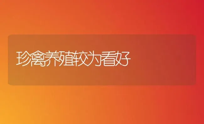 珍禽养殖较为看好 | 家禽养殖