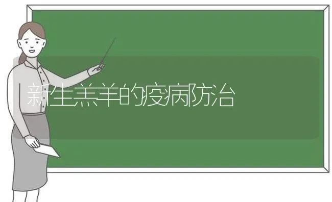 新生羔羊的疫病防治 | 家畜养殖