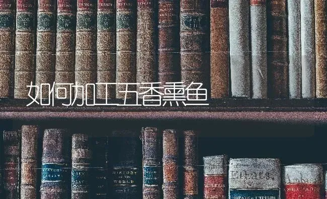 如何加工五香熏鱼 | 淡水养殖