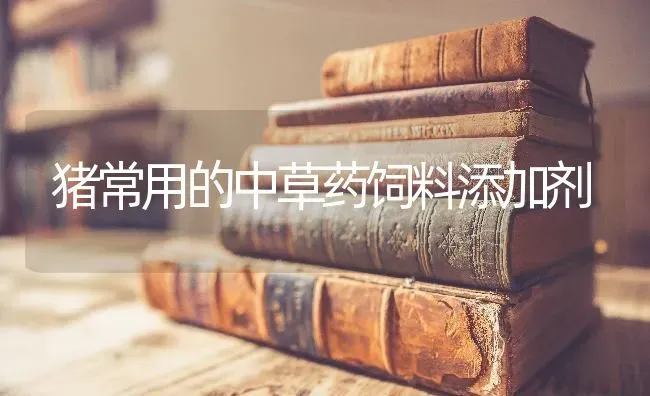 给兔喂料要讲究顺序 | 家畜养殖
