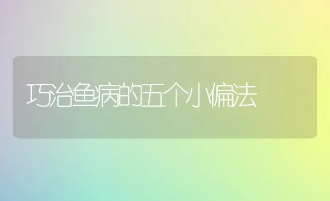 巧治鱼病的五个小偏法 | 淡水养殖