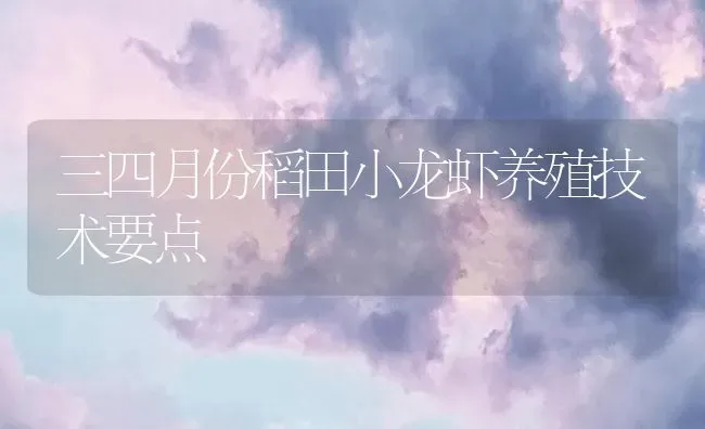 三四月份稻田小龙虾养殖技术要点 | 海水养殖