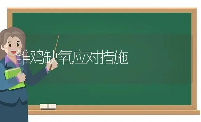 雏鸡缺氧应对措施 | 家禽养殖