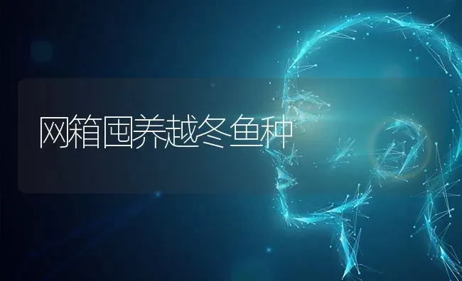 网箱囤养越冬鱼种 | 淡水养殖