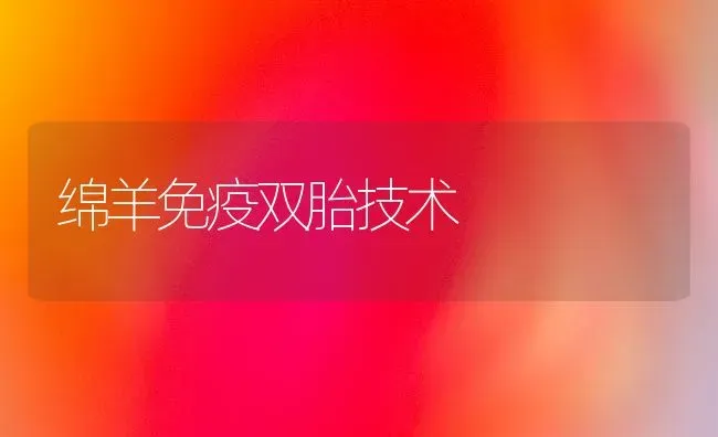 绵羊免疫双胎技术 | 家畜养殖
