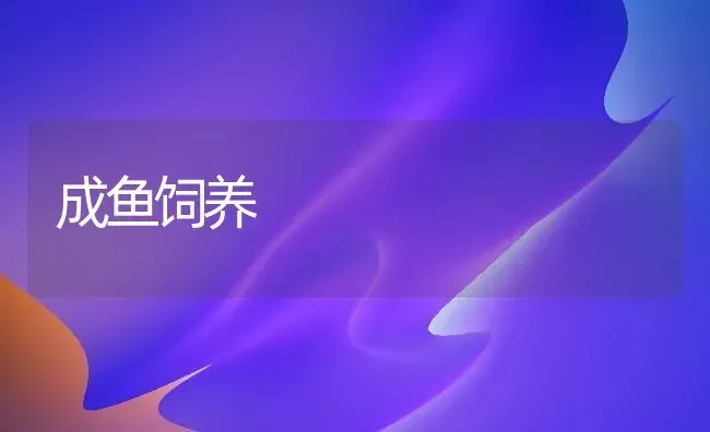 成鱼饲养 | 淡水养殖