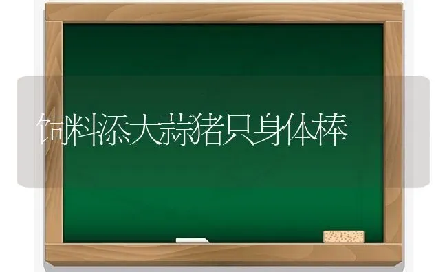 饲料添大蒜猪只身体棒 | 家畜养殖