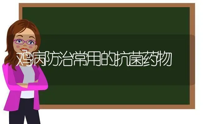 鸡病防治常用的抗菌药物 | 养殖病虫害防治