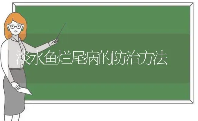 淡水鱼烂尾病的防治方法 | 淡水养殖