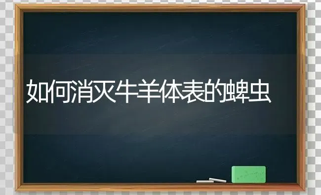 如何消灭牛羊体表的蜱虫 | 家畜养殖