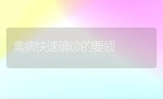 禽病快速确诊的要领 | 家禽养殖
