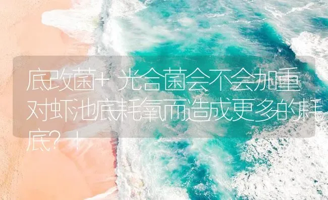 底改菌+光合菌会不会加重对虾池底耗氧而造成更多的耗底？！ | 海水养殖