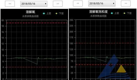 [每周一例]拆冬棚后南美白对虾发生气泡病