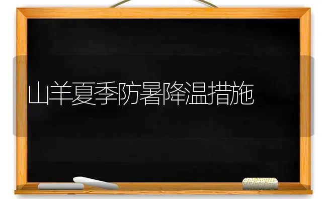 山羊夏季防暑降温措施 | 家畜养殖