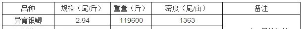 他养出江苏沿海规格最大鲫鱼 热水鱼最高卖九块多一斤