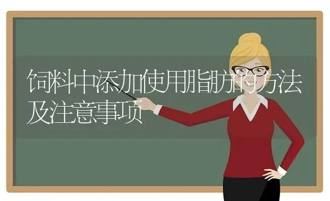 饲料中添加使用脂肪的方法及注意事项 | 动物养殖饲料