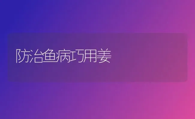 防治鱼病巧用姜 | 淡水养殖