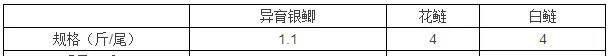 他养出江苏沿海规格最大鲫鱼 热水鱼最高卖九块多一斤