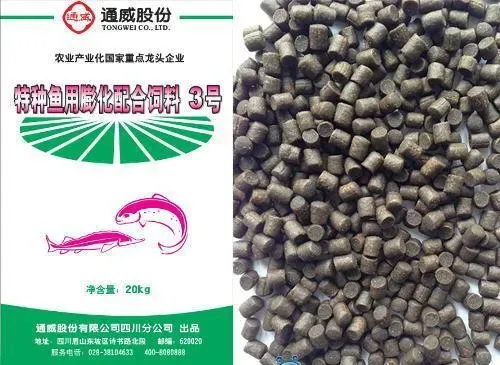 如何让三文鱼养殖户赢在起跑线？