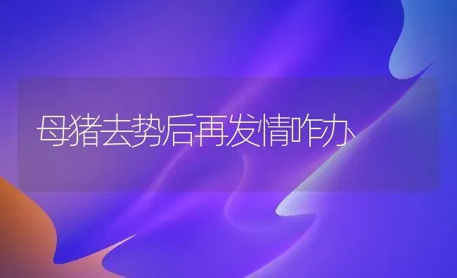 母猪去势后再发情咋办 | 家畜养殖