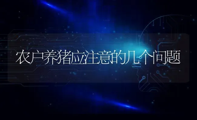 农户养猪应注意的几个问题 | 家畜养殖