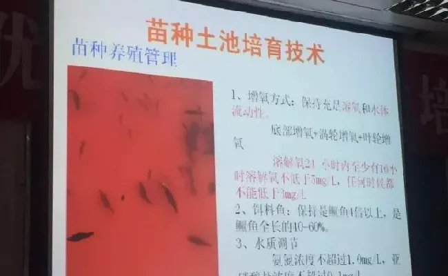 桂花鱼养殖技术培训班心得体会分享