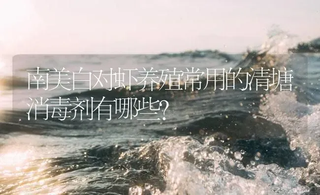 南美白对虾养殖常用的清塘消毒剂有哪些？ | 海水养殖