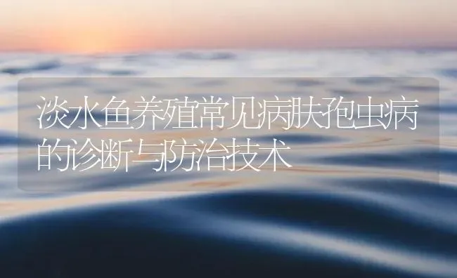 淡水鱼养殖常见病肤孢虫病的诊断与防治技术 | 养殖病虫害防治