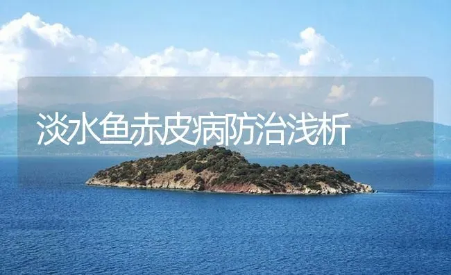 淡水鱼赤皮病防治浅析 | 养殖病虫害防治