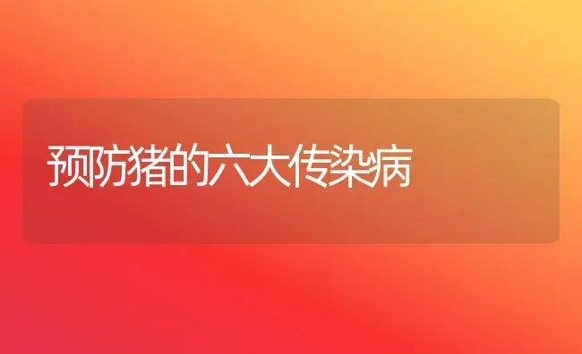 预防猪的六大传染病 | 家畜养殖