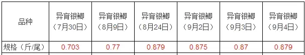 他养出江苏沿海规格最大鲫鱼 热水鱼最高卖九块多一斤