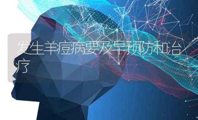 发生羊痘病要及早预防和治疗 | 家畜养殖