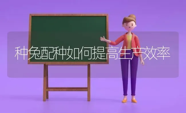 种兔配种如何提高生产效率 | 家畜养殖