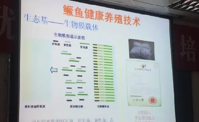 桂花鱼养殖技术培训班心得体会分享