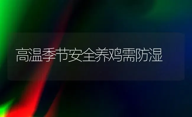 高温季节安全养鸡需防湿 | 家禽养殖
