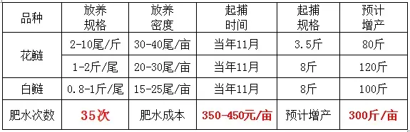 3101+藻源素 花白鲢养殖成本每斤只需七毛五