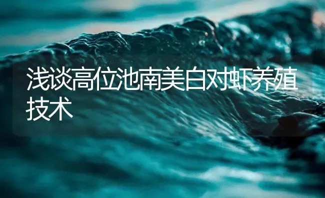 浅谈高位池南美白对虾养殖技术 | 海水养殖