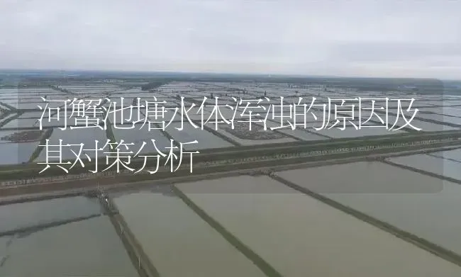 河蟹池塘水体浑浊的原因及其对策分析 | 淡水养殖