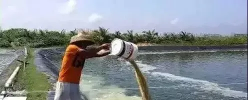 养虾革命性概念，越南、中国、印度、厄瓜多尔、韩国、埃及等国都在用！