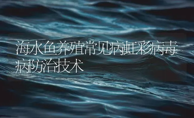 海水鱼养殖常见病虹彩病毒病防治技术 | 养殖病虫害防治