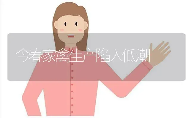 今春家禽生产陷入低潮 | 家禽养殖