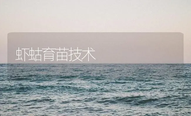 虾蛄育苗技术 | 海水养殖