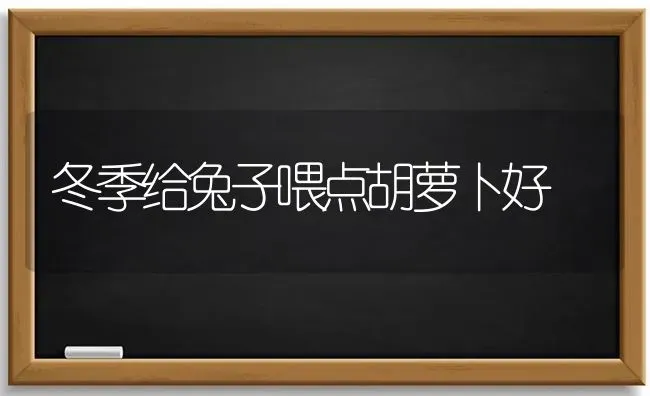 冬季给兔子喂点胡萝卜好 | 家畜养殖