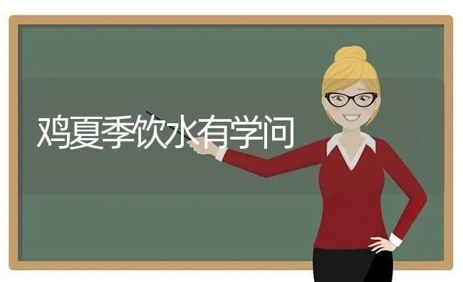 鸡夏季饮水有学问 | 家禽养殖