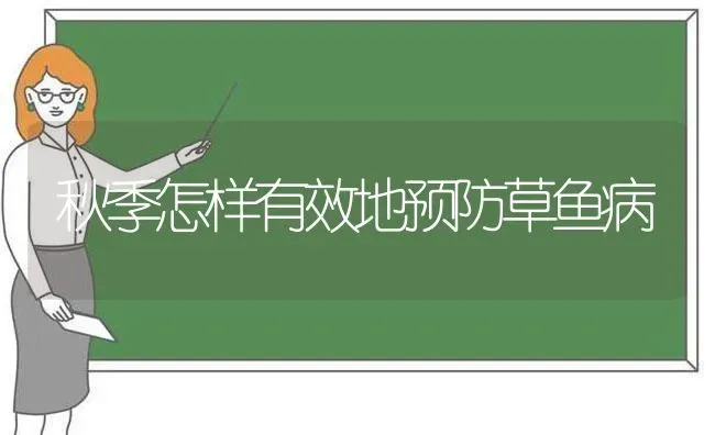 秋季怎样有效地预防草鱼病 | 淡水养殖