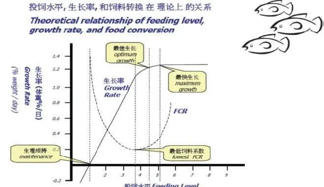 开春之后养鱼户投料多少为宜？