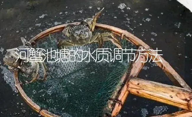 河蟹池塘的水质调节方法 | 淡水养殖