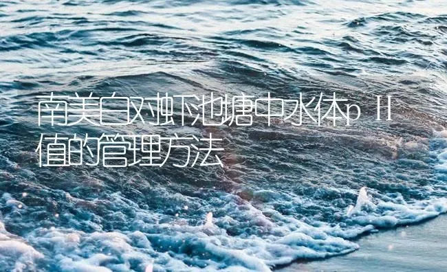 南美白对虾池塘中水体pH值的管理方法 | 海水养殖