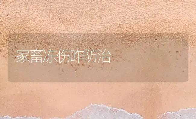 家畜冻伤咋防治 | 家畜养殖